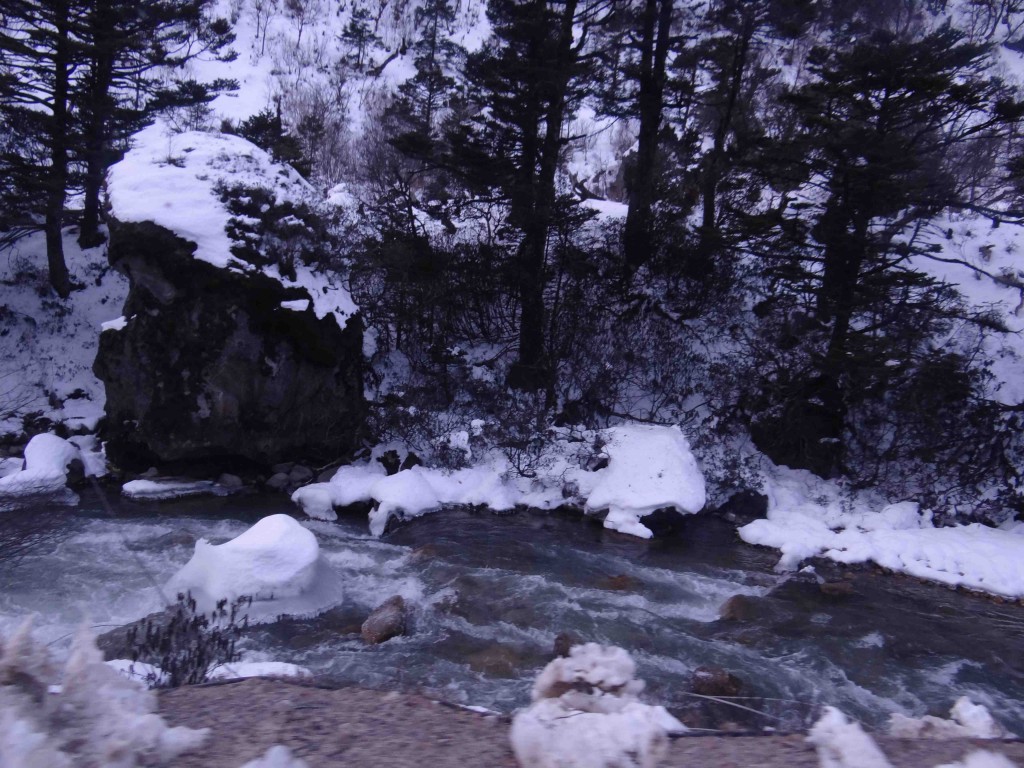 Gurudongmar lake