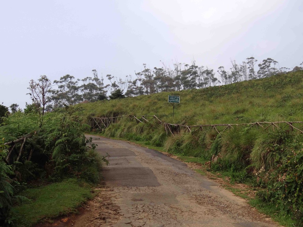 Eravikulam National park,Munnar,Kerala,India,sanctuary