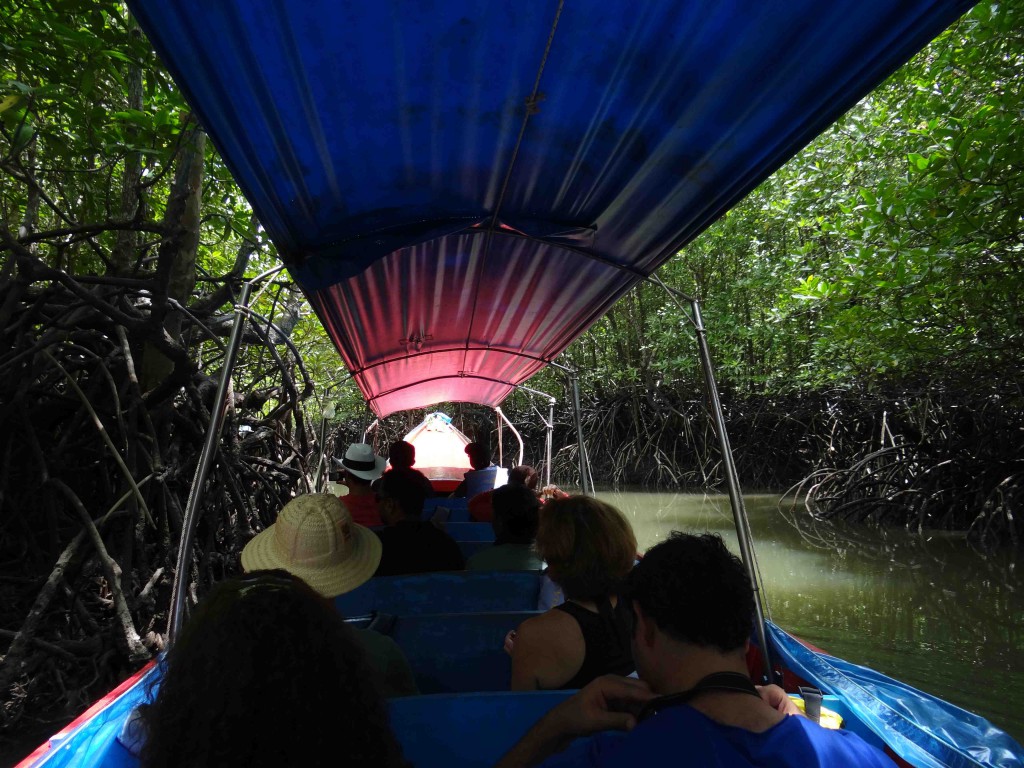 mangroves,long tail boat, phuket,thailand,long tail boat