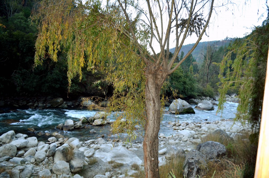 Wangdi,Bhutan,Asia