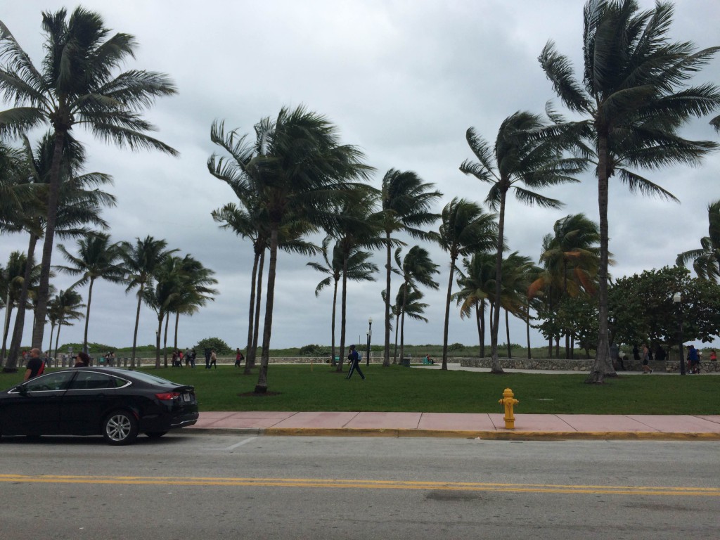 View from beachside restaurant