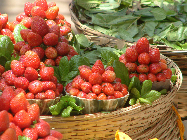 Bound by the magic of Mahabaleshwar