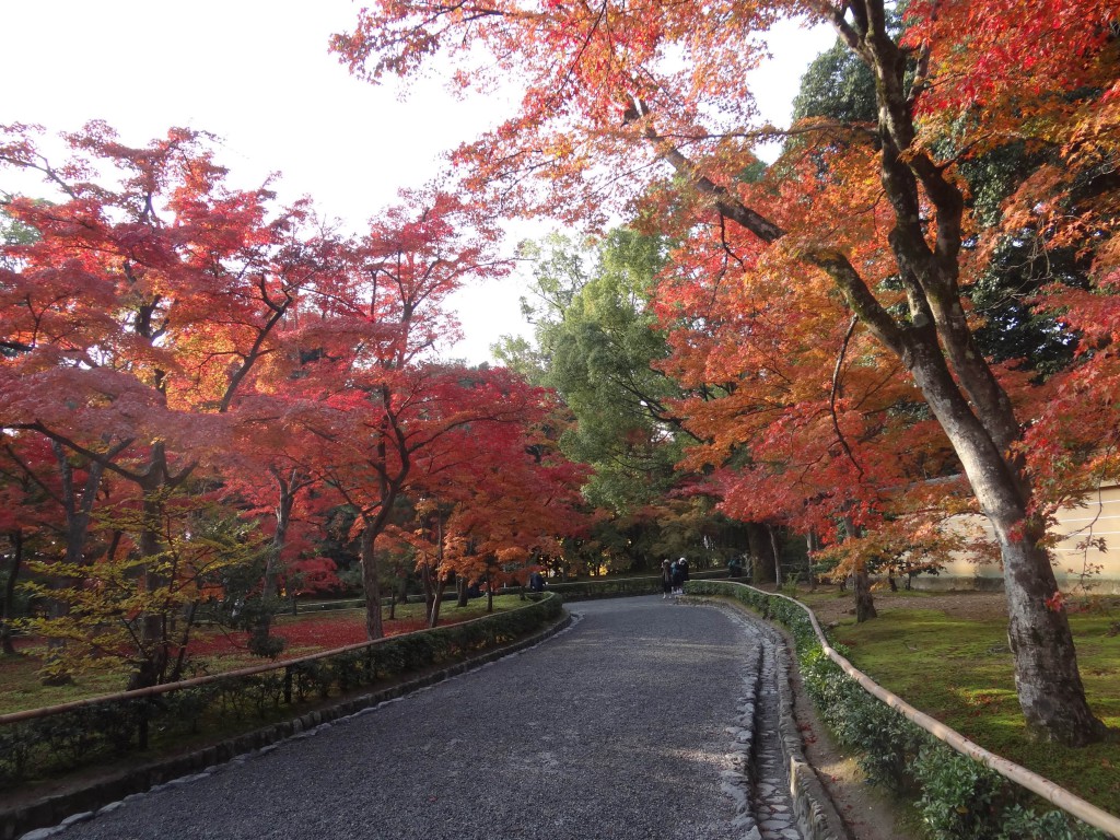 Kyoto,Shinjukuji temple,Japan,fall colours