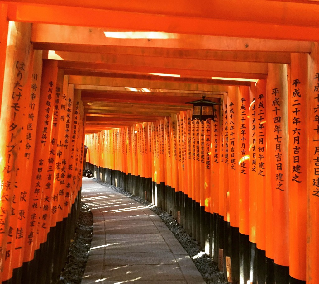 Fushima Inari Tashi,Kyoto,Japan,temple,tori