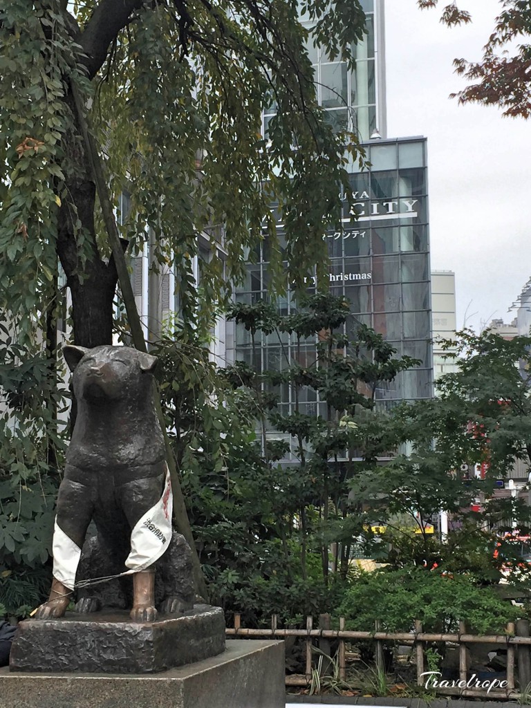 Hachiko,Shibuya,Shibuya crossing,Japan,Tokyo