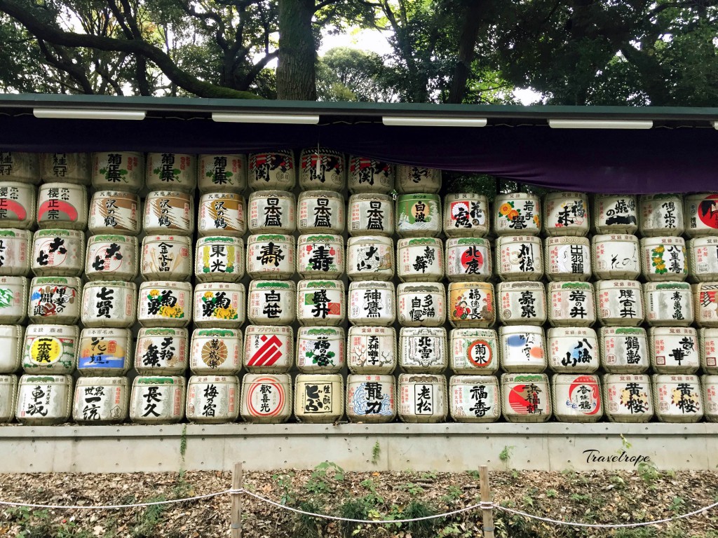 Hachiko,Shibuya,Shibuya crossing,Japan,Tokyo,Meiji Jingu Shrine