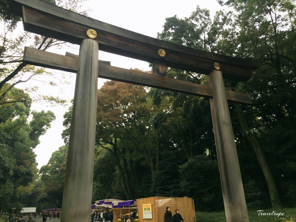 Meiji Jingu Shrine,Japan,tokyo,Shibuya