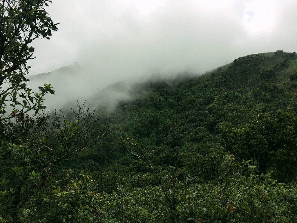 Mullayanagiri, Karnataka, Chikmagalur, India, travel