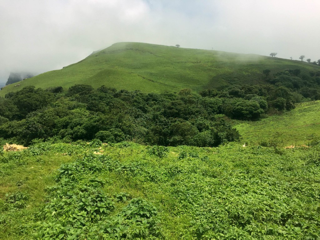  Karnataka, Chikmagalur, India, travel