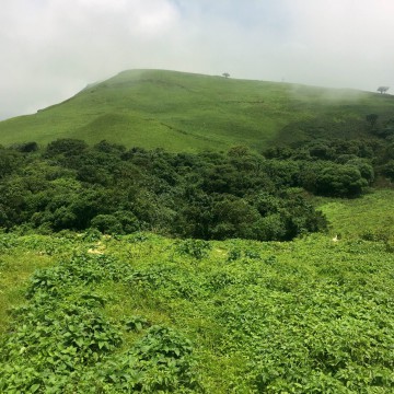 Enchanted by Chikmagalur!