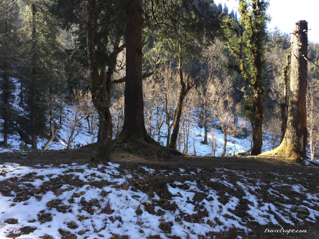 Kedarkantha, travel, trek, uttarakhand, india, mountains,snow