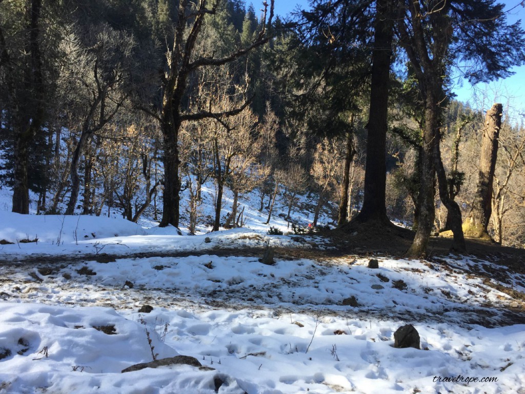 Kedarkantha, travel, trek, uttarakhand, india, mountains,snow