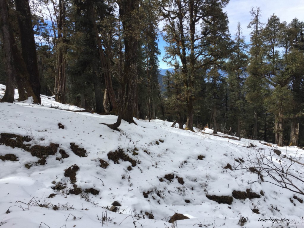 Kedarkantha, travel, trek, uttarakhand, india, mountains,snow