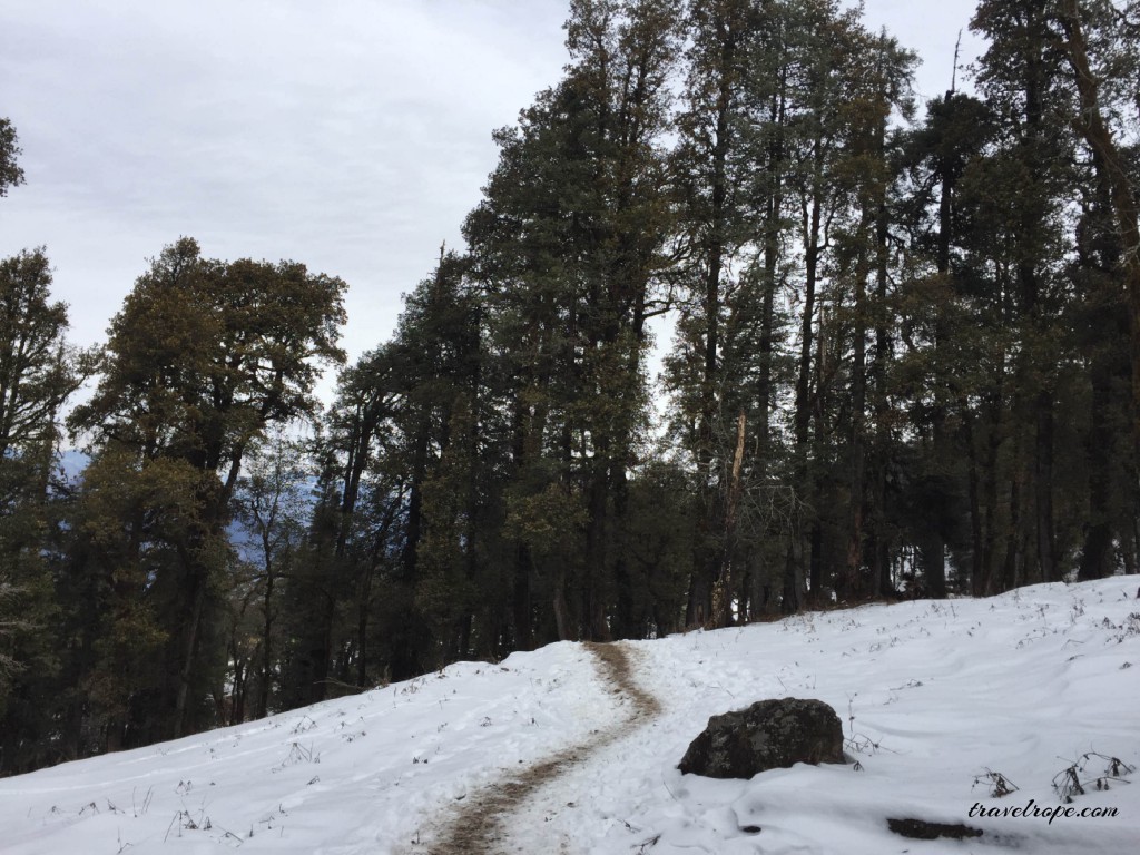 Kedarkantha, travel, trek, uttarakhand, india, mountains,snow