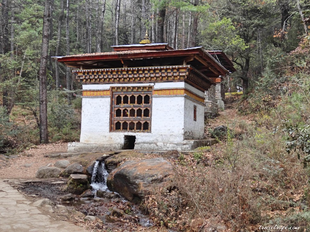 Pobhjikha Valley, Bhutan, Thimphu, Paro, Punakha, travel,mountains, nature